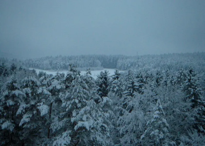 Gasthof Jägerheim 2*