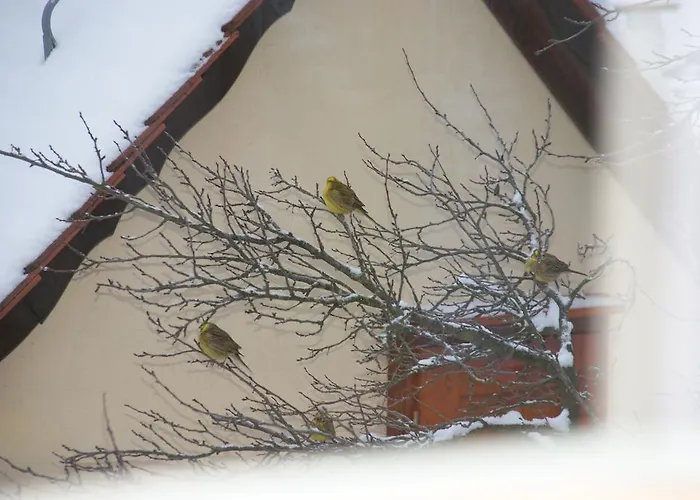 Gasthof Jägerheim Birgland