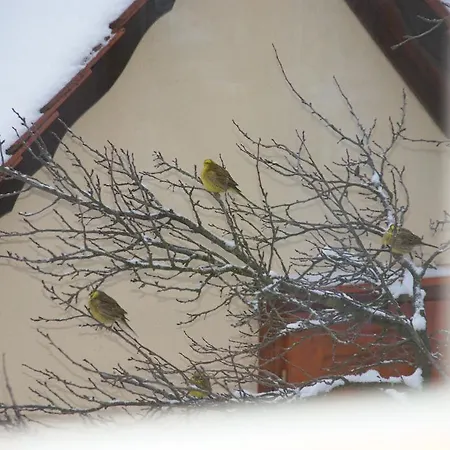 Gasthof Jägerheim Birgland